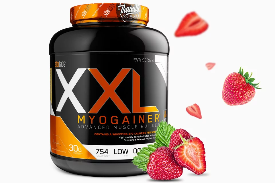 XXL 19 01e039b7